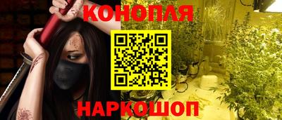 крисы Кунгур