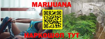 крисы Кунгур