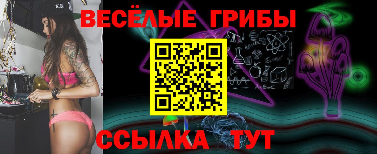 Иваново  Галлюциногенные грибы Psilocybine cubensis  Вход с VPN 